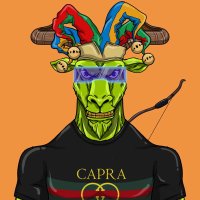 The 1 🛡️ (@xrpthree5) 's Twitter Profile