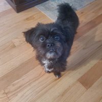 Carrie (@carrieb78357467) 's Twitter Profile