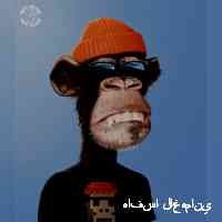 laghmanihafaas's profile picture. Manchester