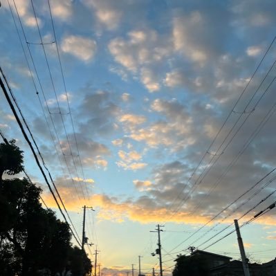 dusk5123's profile picture. 趣味は漫画、アニメです。今更ながら、ホロライブにハマってます。 ししろん推し。無言フォローしてしまいますが、よろしくお願いします。