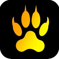 Moved Accounts (@lionroll_vr) 's Twitter Profile