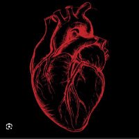 Andy O’Plasty, MD (@angiojunkie) 's Twitter Profile