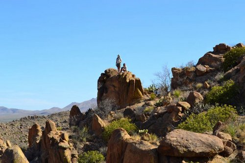 setiver's profile picture. 