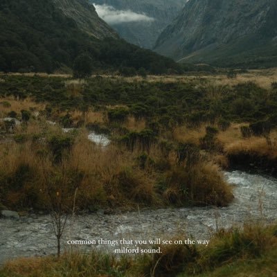 Adella_Aurel19's profile picture. Emang boleh?