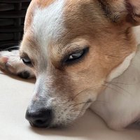 Mind Full πΊπ¦πΊπΈ π (@mindfullofit1) 's Twitter Profile
