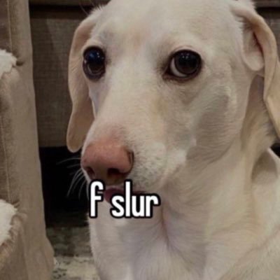 crackywaky's profile picture. The