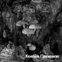 kli_lyahpakhom's profile picture. mütevazi çocuklarız rdvntlbc