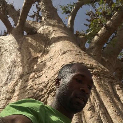 Noble Seyoum is a musician, a Travel lover, a lover of Languages, and a Culture lover, interested in connecting with people of different cultures, and places.