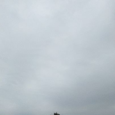 deiji2268's profile picture. デイジーとは平和と希望の花言葉
故人安倍元首相の意思を受け継ぎ日本の国土を護り平和を愛する
脅威の共産主義が日本を破壊しているように思えてならない