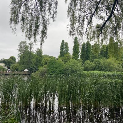 udon_wu91414's profile picture. 成人済み