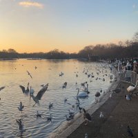 M (@mariaaamoi) Twitter profile photo