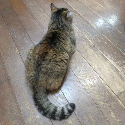 a.nさんのプロフィール画像