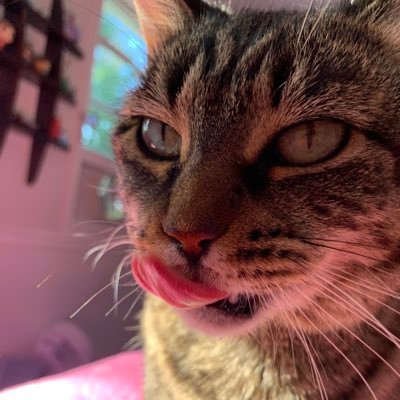 heymyangelss's profile picture. 23 year old gremlin, she/her