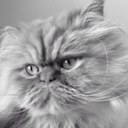 Matthew DeWolfe - @detwam - Twitter