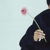 🌟 (@memeee_n_n) 's Twitter Profile