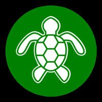 Rare Sea Turtles and More(@rareseaturtles) 's Twitter Profile Photo