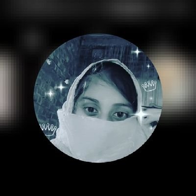 rajiul842483's profile picture. 