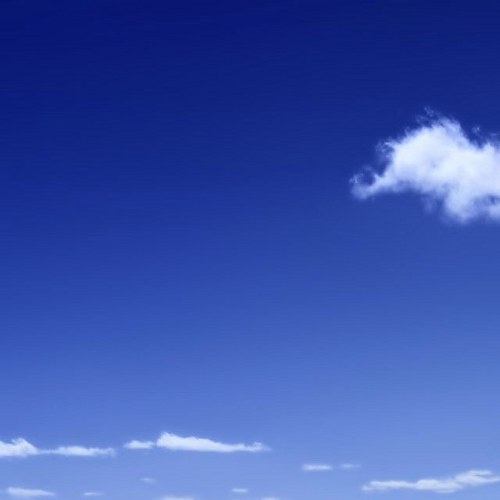 aLurMH's profile picture. 