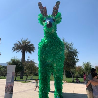 Sabalero2712's profile picture. 