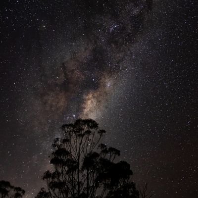 darrylpeet's profile picture. 