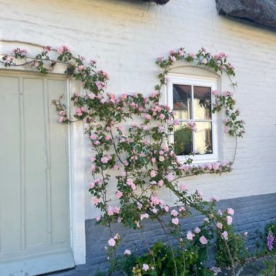 actuallolz's profile picture. lolz