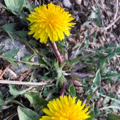 Loveman22127522's profile picture. I’m gay( I love strong man) I need someone to stay with me 🥰🥰