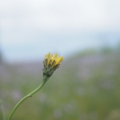 pasu_taan's profile picture. 