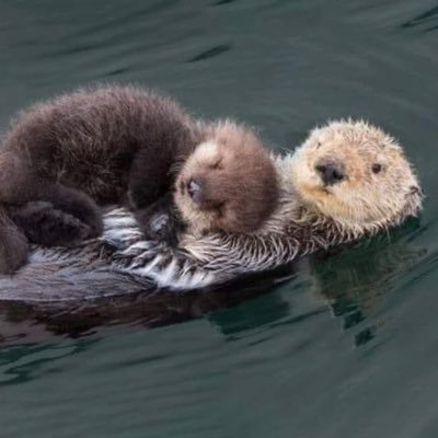 Nando_19_84's profile picture. 