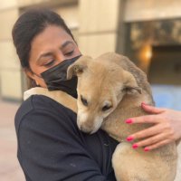 P C (@pria1c) 's Twitter Profile