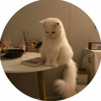 M| 2023🎓 (@xma0r_2) 's Twitter Profile