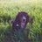 leewilson10's profile image