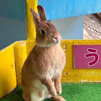 CEELv9pUbKWlBzL's profile picture. 