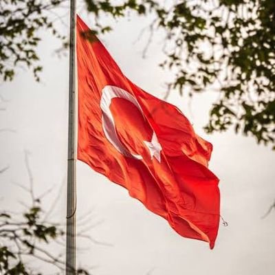 RT ve beğenilerim onayladiğim anlamına gelmez