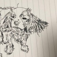 イッヌの犬。@おぱーい好き (@dog_of_da_doggo) 's Twitter Profile