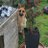 coady327's profile image
