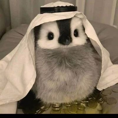 BlueMr99's profile picture. 