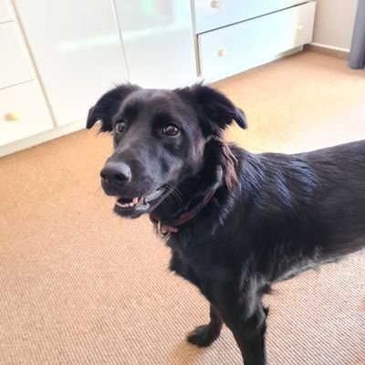 JacoFaberSA's profile picture. Head of Product at PT SportSuite