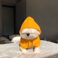 suflecik (@nanelisuggar) 's Twitter Profile