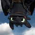 NightFury (@_toothlesss__) Twitter profile photo NightFury (@_toothlesss__) Twitter profile photo