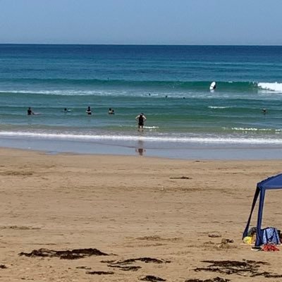 aus_cryptolife's profile picture. 