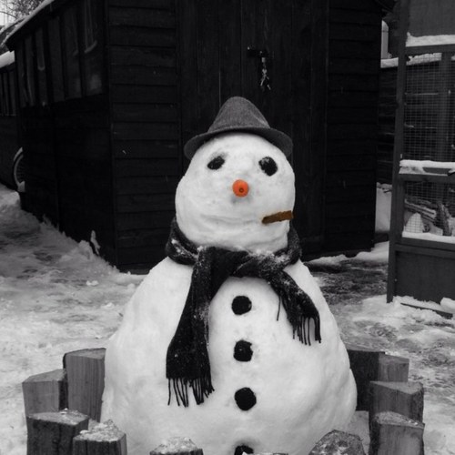 StartyStart's profile picture. 