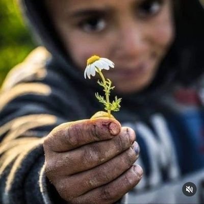 argesbaran2's profile picture. 