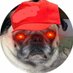 🔨ULTRA TERMINATOR OF WOKE, MIKE STRONG (@MikeStrong223) Twitter profile photo