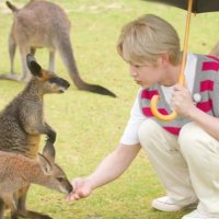 ใใ๐ฐ๐ (@321onew) 's Twitter Profile Photo ใใ๐ฐ๐ (@321onew) 's Twitter Profile Photo