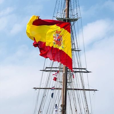 vicenderussafa's profile picture. Soc de Valéncia i valencianista. Una forma de viure.