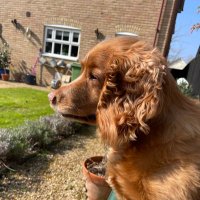 Carl Hayden #standwithUkraine (@carl5h) 's Twitter Profile