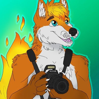 31yr old male (Fire)fox, Photographer @londonfurs Staff ❤ @Neithie ❤