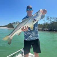 Joe Kooima (@pig_whisperer) 's Twitter Profile