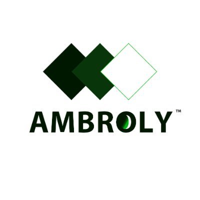 Ambroly Group Ltd. is an innovative company that excels in the Tech and Music Industry, with a large community of both startups and professionals.