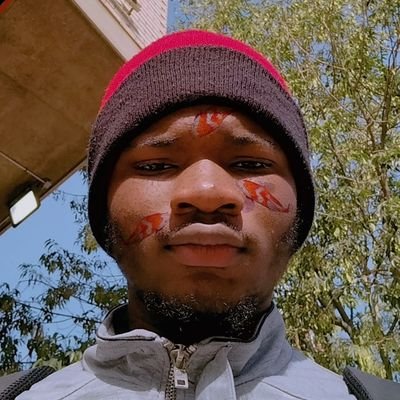 I am a programmer, a website designer and a cyber security professional in the making.